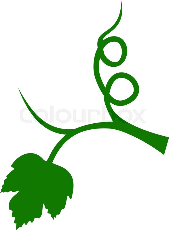 587x800 Grape Sprout Vector Icon Symbol Flat Stock Vector Colourbox