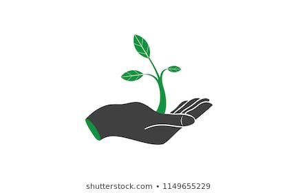 Hand Holding Sprout Plant For Logo Logo Design Logos, Plant 433x280 Hand Holding Sprout Plant For Logo Logo Design Logos, Plant