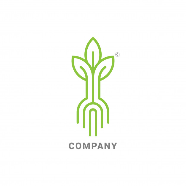 Sprout With Roots, Modern Line Logo Mark With Sprouting Seed 626x626 Sprout With Roots, Modern Line Logo Mark With Sprouting Seed