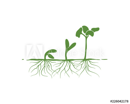 Green Sprout Seed Growth With Roots Sign Symbol Logo Vector 500x400 Green Sprout Seed Growth With Roots Sign Symbol Logo Vector