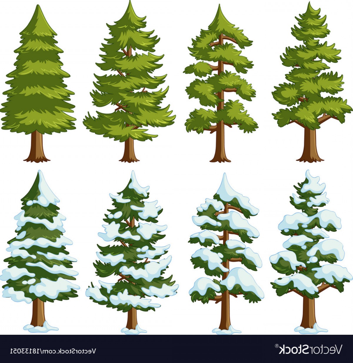 1200x1233 Different Shapes Of Pine Trees Vector Studiogrfx
