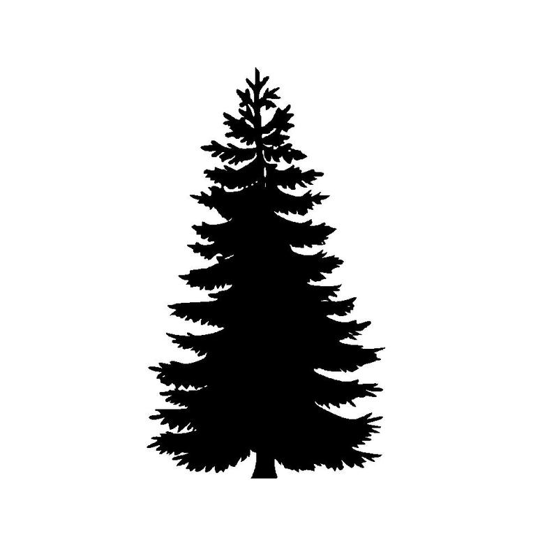 Spruce Tree Vector at Vectorified.com | Collection of Spruce Tree