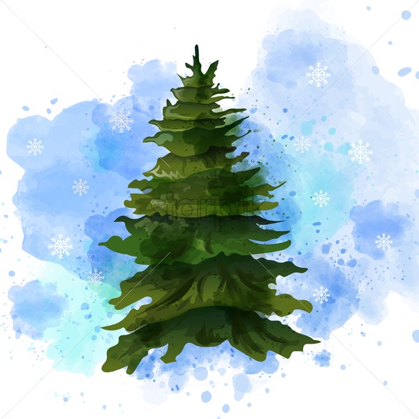 600x600 Fir Tree Vector Watercolor Isolated On White Template Layout
