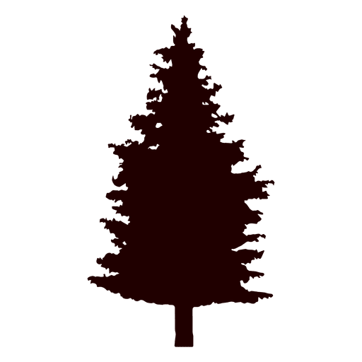 Spruce Tree Vector At Collection Of Spruce Tree Vector Free For Personal Use 