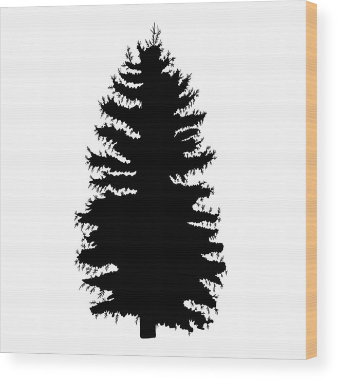 656x740 Hand Drawn Fir Tree Vector Illustration Silhouette Of Black Pine