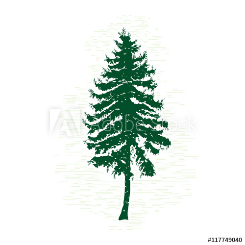 500x500 Silhouettes Of Green Pine Tree, Vector Illustration Vintage