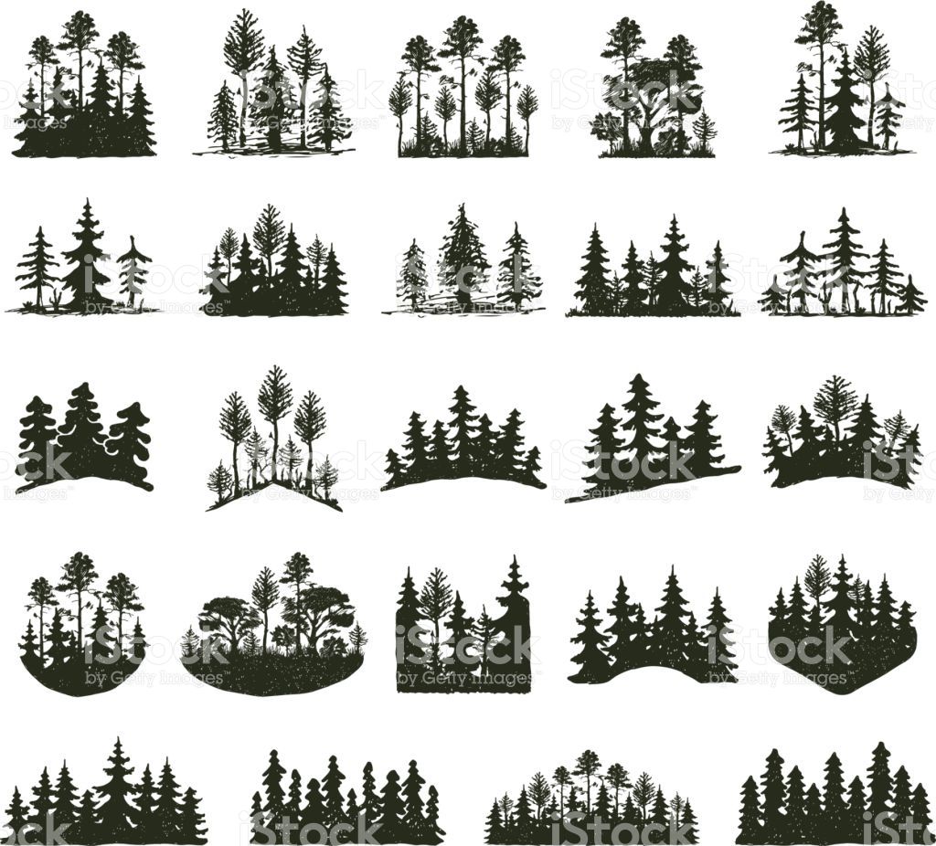 1024x926 Tree Outdoor Travel Black Silhouette Coniferous Natural Badges