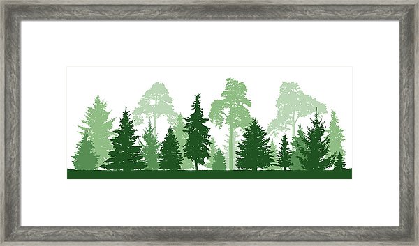 600x353 Trees Pine, Fir, Spruce, Christmas Tree Coniferous Forest, Vector