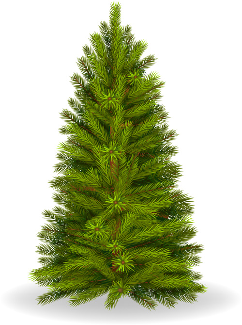 500x670 Christmas Green Fir Tree Vector Material Free Download