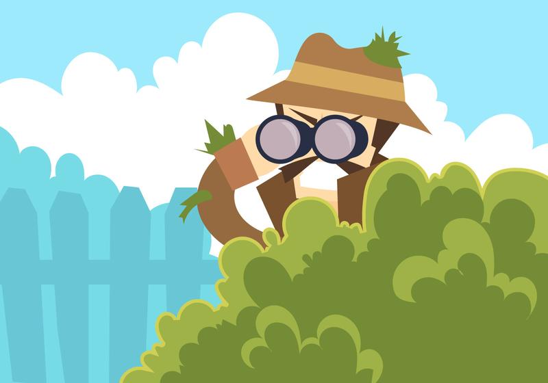 800x560 Neighborhood Watch Spy