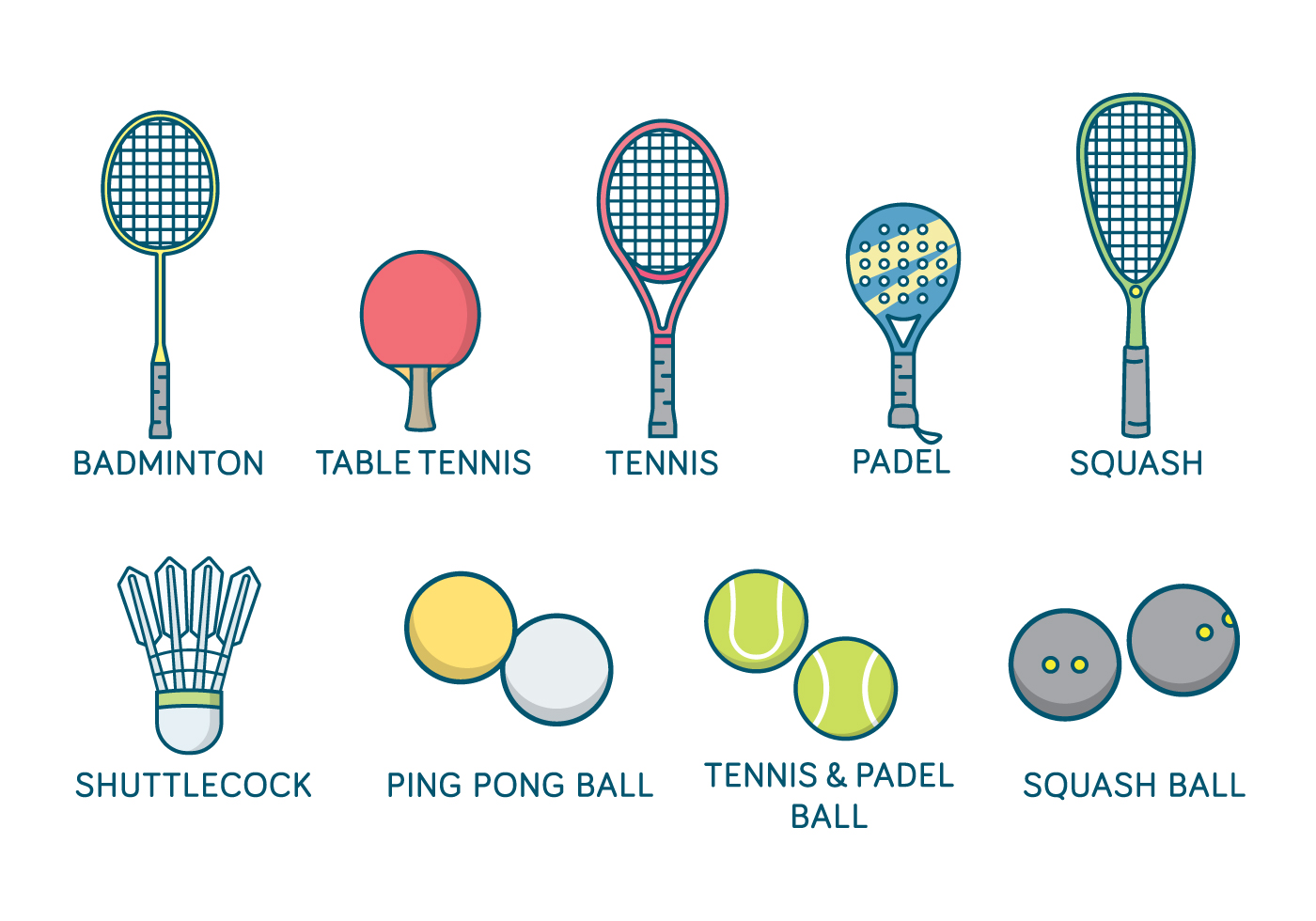 1400x980 Squash Free Vector Art