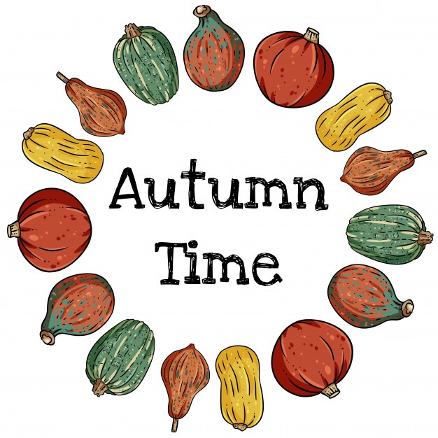 626x626 Squash Vectors, Photos And Free Download