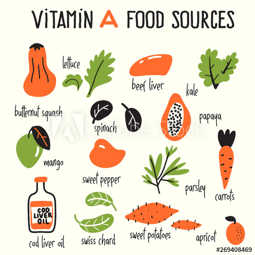 500x500 Vector Cartoon Illustration Of Vitamin A Food Sources