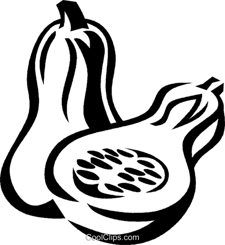 440x480 Butternut Squash Royalty Free Vector Clip Art Illustration