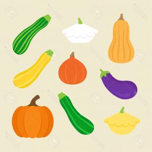 300x300 Photostock Vector Pumpkin And Butternut Squash Vector Drawing Set