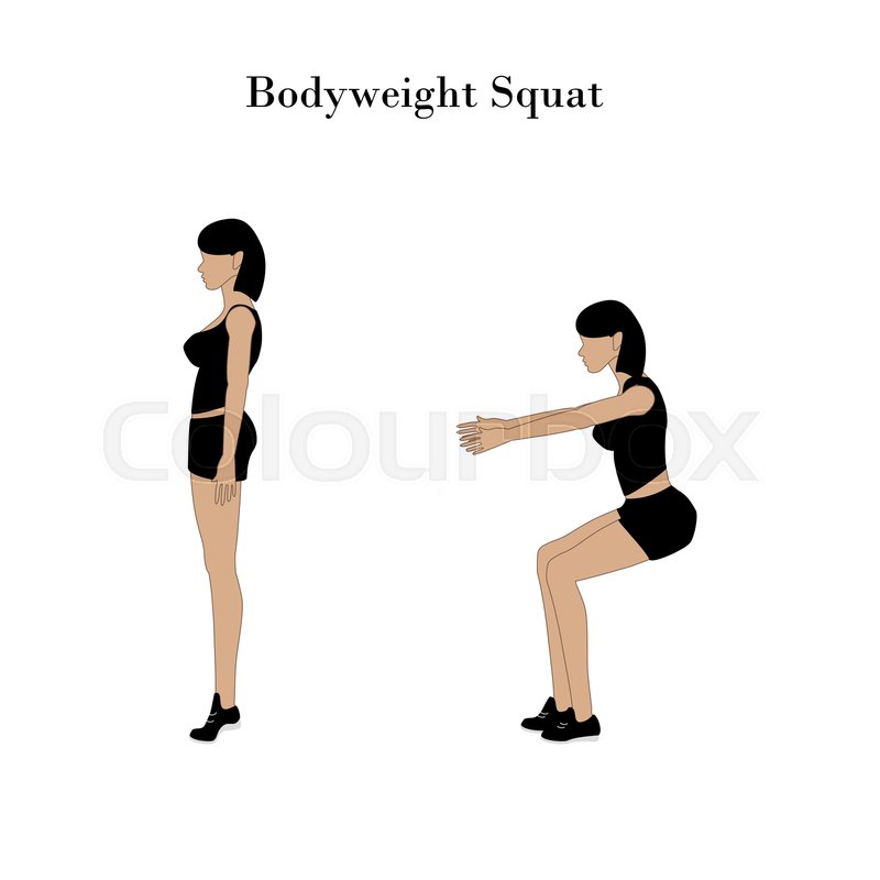 800x800 Bodyweight Squat Exercise Workout On Stock Vector Colourbox