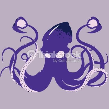 Squid Vector