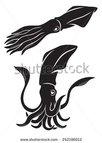 337x470 Giant Squid Stock Photos, Images, Pictures Shutterstock