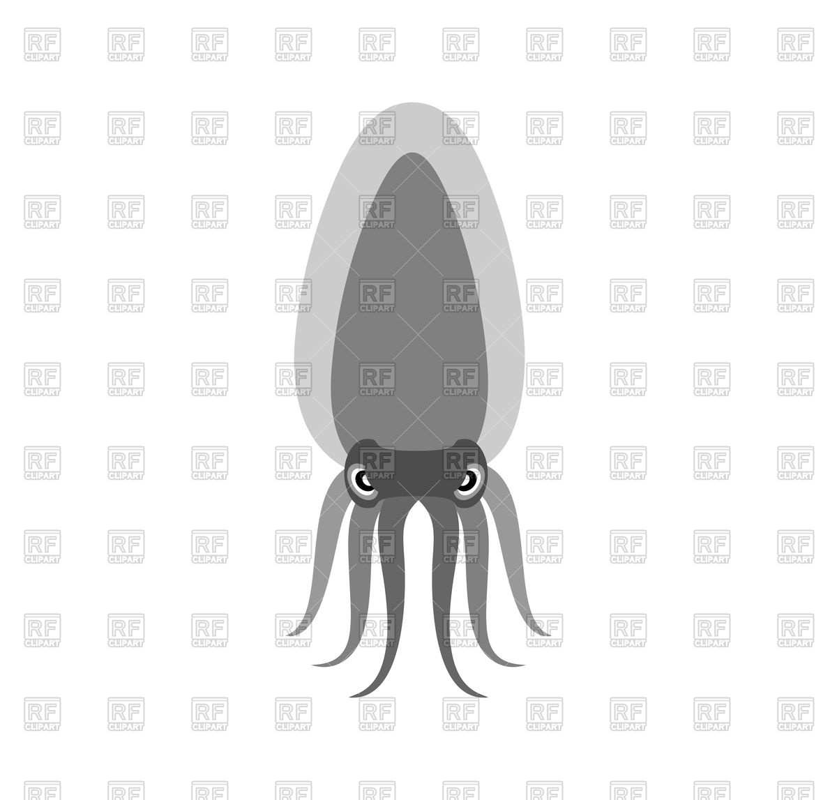 1200x1147 Squid Vector Image Of Plants And Animals Popaukropa