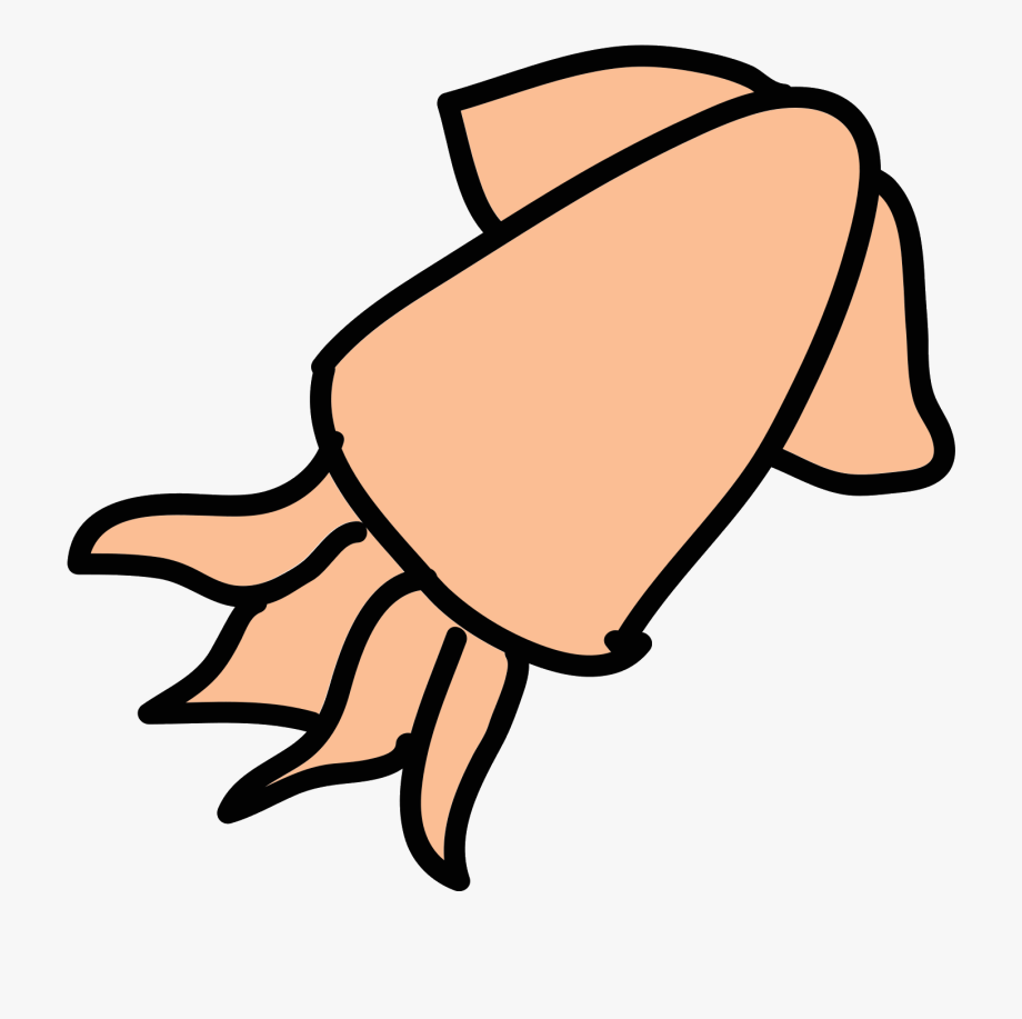 920x917 Squid Vector Sea Creature