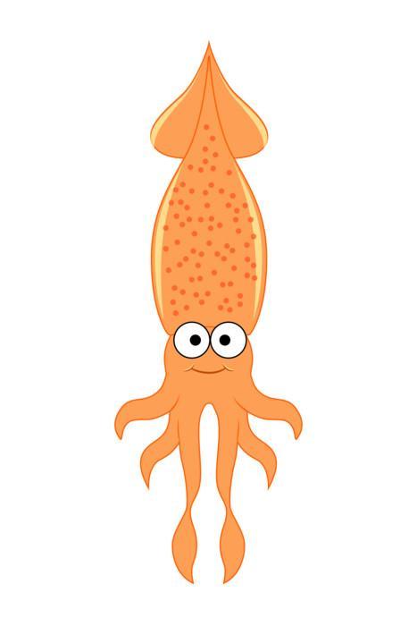 467x700 Cute Cartoon Squid Vector Wall Decal