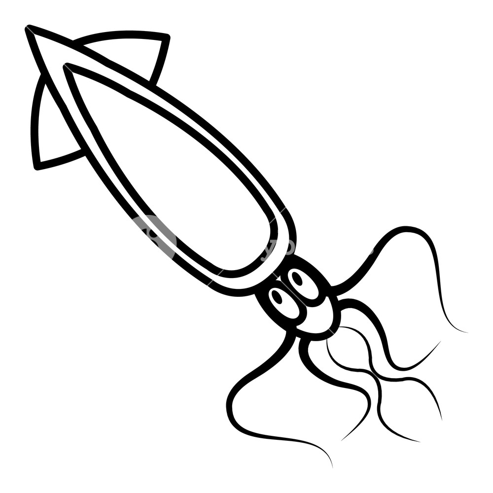 1000x1000 Squid Icon Outline Illustration Of Squid Vector Icon For Web
