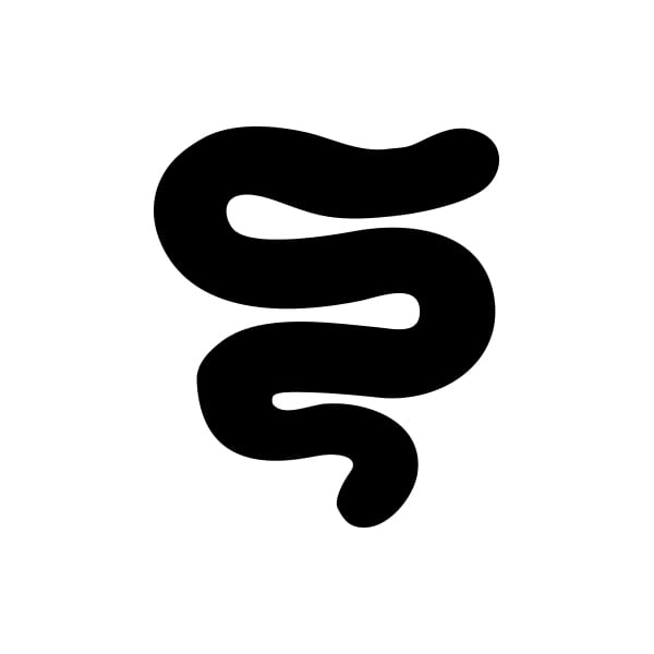 600x600 Brush Squiggle