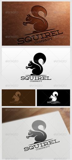 Squirrel Logo Vector