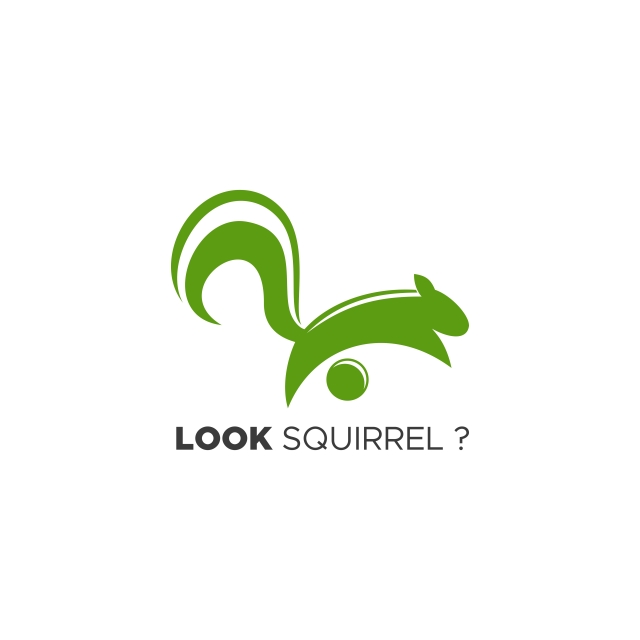640x640 Look Squirrel Logo Vector Template For Free Download