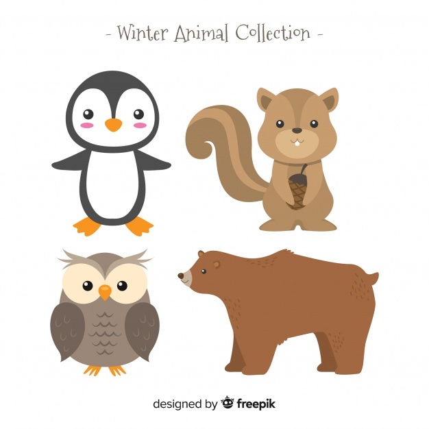 626x626 Squirrel Vectors, Photos And Free Download