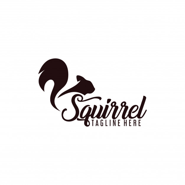 626x626 Squirrel Logo Vector Premium Download
