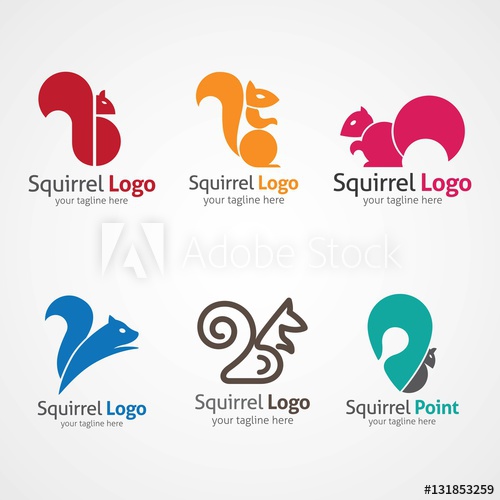 500x500 Squirrel Logo Design Template Vector Illustration