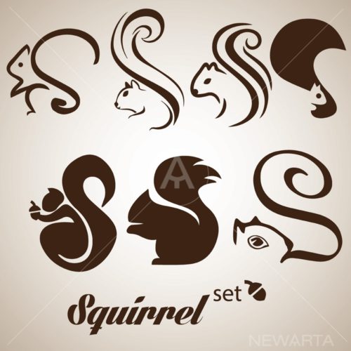 500x500 Squirrel Vector Archives