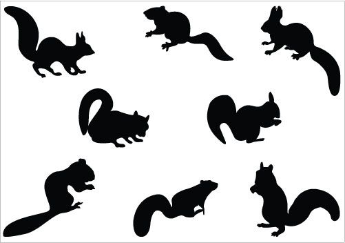 501x352 Squirrel Silhouette Vector Silhouette Clip Art Squirrel
