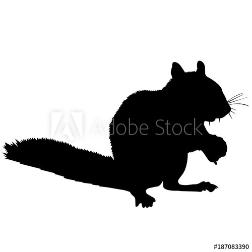500x500 Squirrel Silhouette Vector Graphics