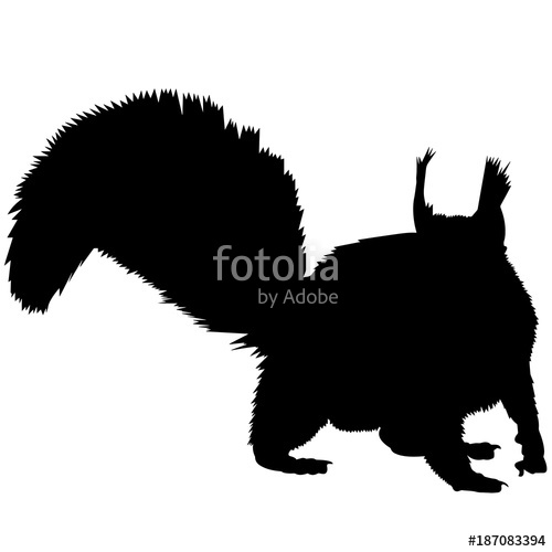 500x500 Squirrel Silhouette Vector Graphics Stock Image And Royalty Free