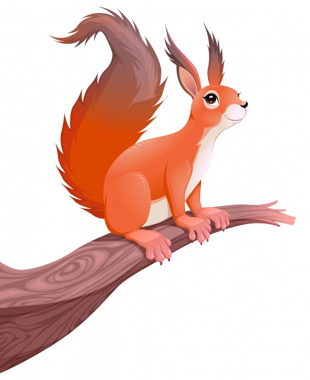 626x768 Squirrel Vectors, Photos And Free Download