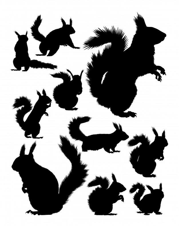 626x790 Squirrel Silhouette Vector Premium Download