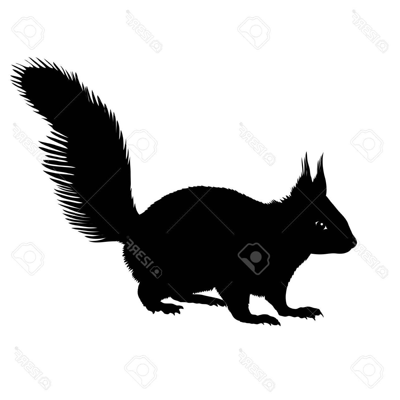1300x1300 Best Free Squirrel Silhouette Vector Image Free Vector Art