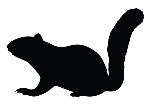 500x350 Best Squirrel Silhouette