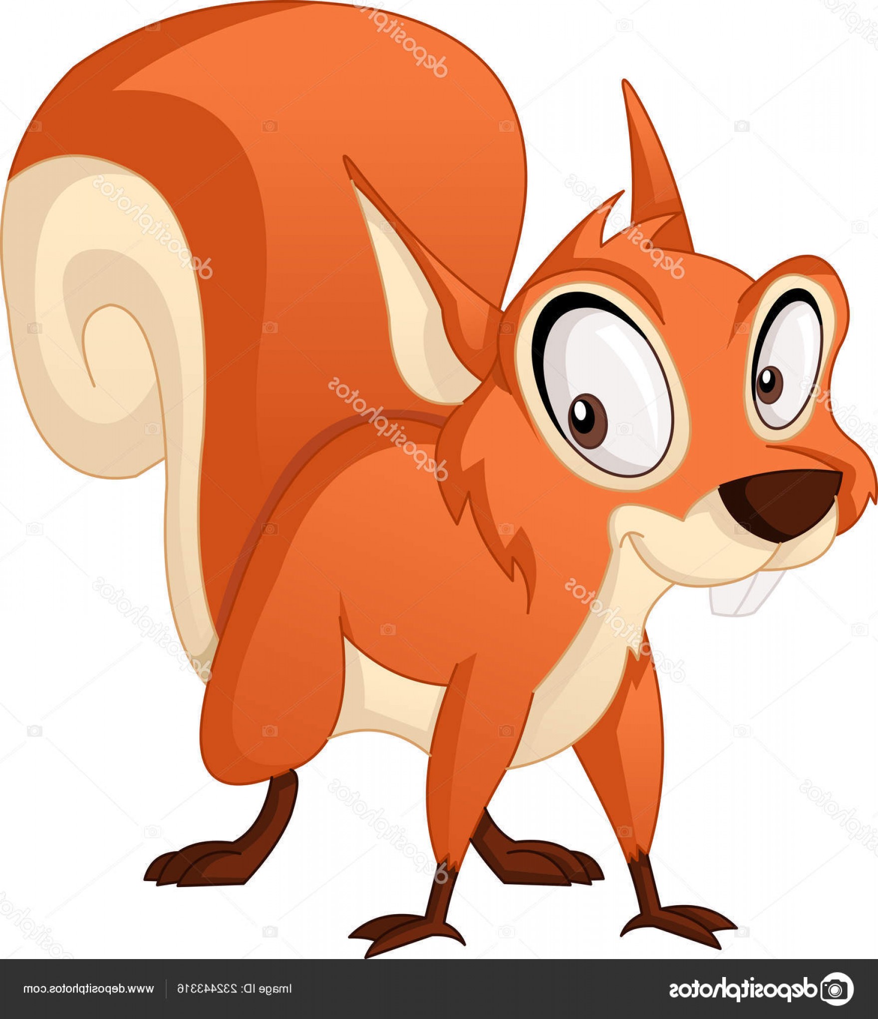1759x2040 Squirrel Vector Catchsplace