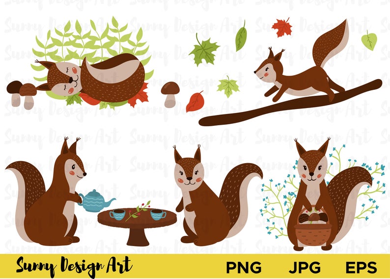 794x568 Squirrel Vector Clipart Forest Animals Clipart Vector Etsy