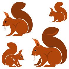 235x235 Squirrel Vector Art Illustration Squirrel Art