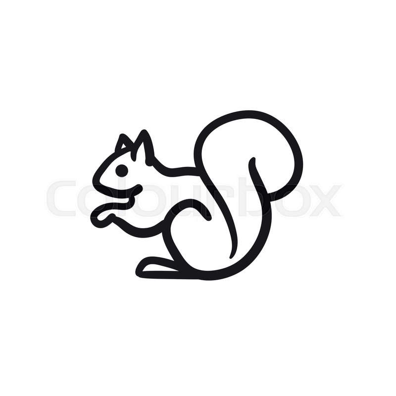 800x800 Squirrel Vector Sketch Icon Isolated Stock Vector Colourbox