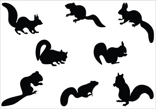 501x352 Squirrel Silhouette Vector Images