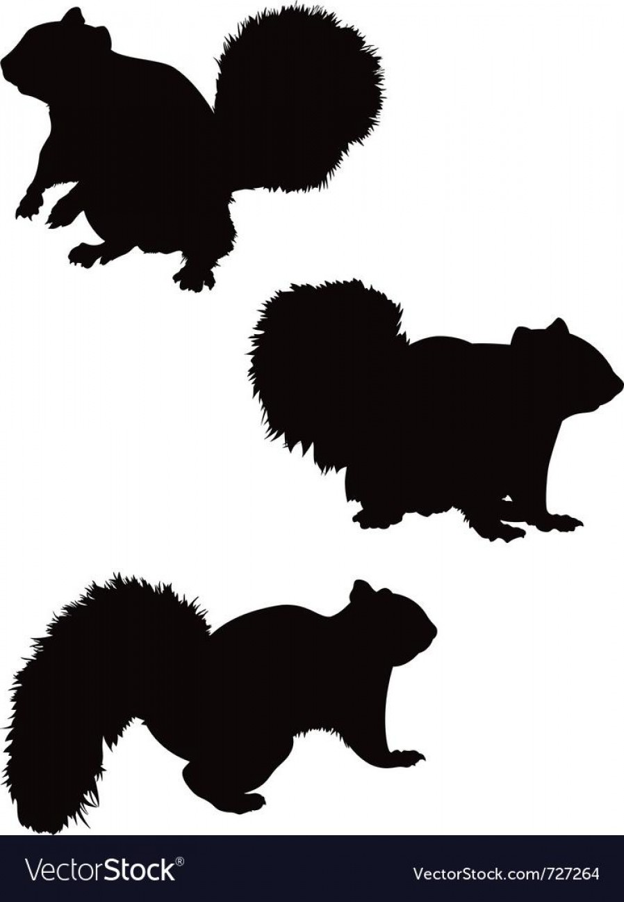 898x1296 Squirrel Vector Graphics Hoodamathrun