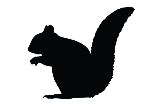 550x354 Squirrel Silhouette Vector Animal Vector Graphics Squirrel