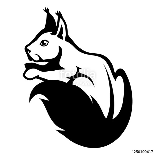 500x500 Squirrel Logo, Vector Graphic To Design Stock Image And Royalty
