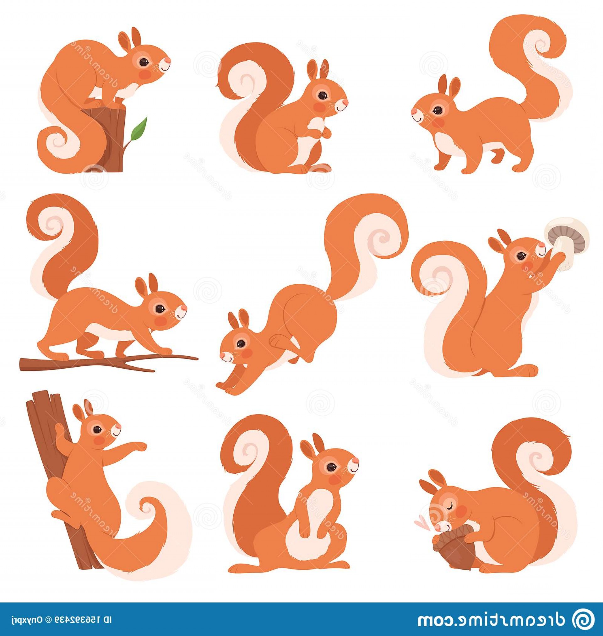 Squirrel Vector Art at Vectorified.com | Collection of Squirrel Vector ...