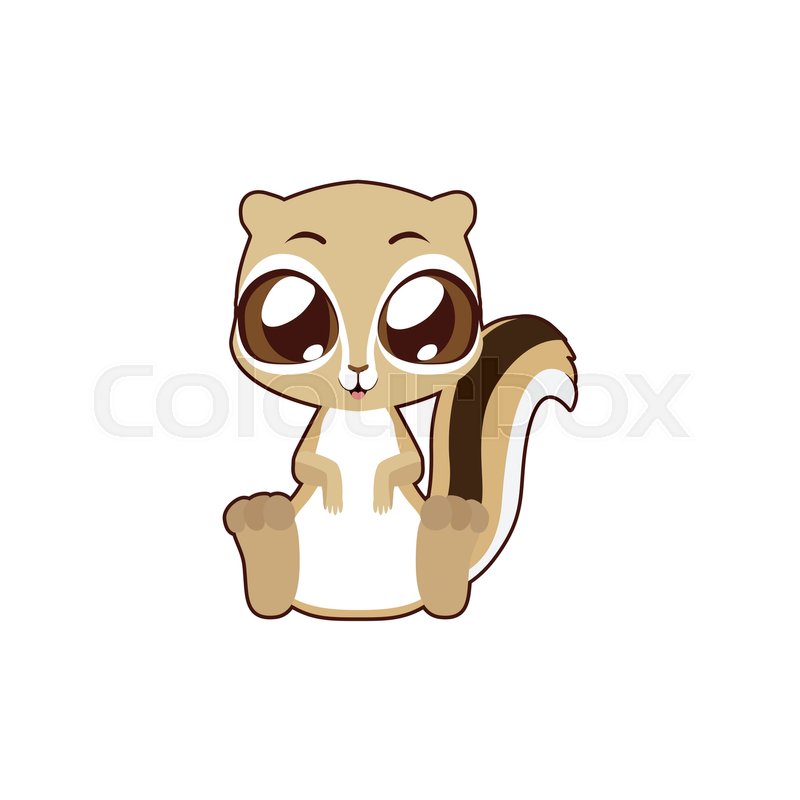 800x800 Cute Squirrel Vector Illustration Art Stock Vector Colourbox